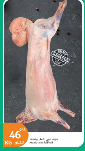 available at سيتي هايبرماركت in قطر - الضعاين