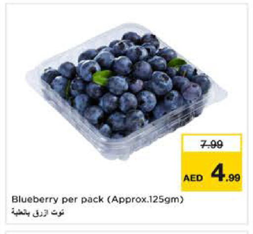 Blueberry BlueBerry available at Nesto Hypermarket in UAE - Dubai