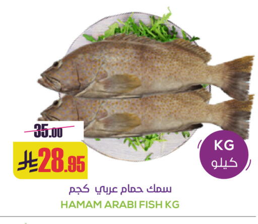 available at سبت in مملكة العربية السعودية, السعودية, سعودية - بريدة
