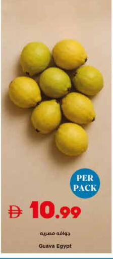 Guava from Egypt available at تروليز سوبرماركت in الإمارات العربية المتحدة , الامارات - الشارقة / عجمان