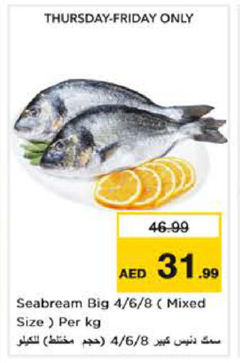 available at نستو هايبرماركت in الإمارات العربية المتحدة , الامارات - أبو ظبي