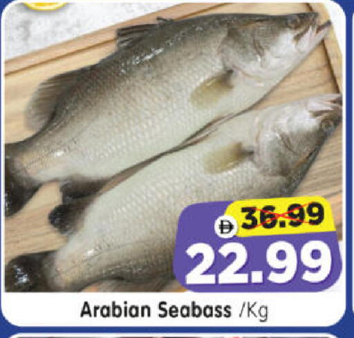 available at هايبر ماركت المدينة in الإمارات العربية المتحدة , الامارات - أبو ظبي