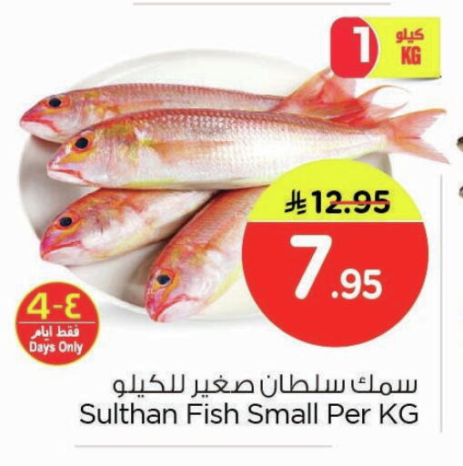 available at نستو in مملكة العربية السعودية, السعودية, سعودية - المنطقة الشرقية