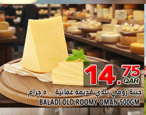available at قصر الأغذية هايبرماركت in قطر - الخور