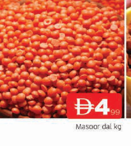 available at المدينة in الإمارات العربية المتحدة , الامارات - الشارقة / عجمان