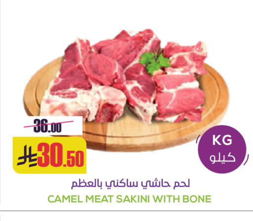 available at سبت in مملكة العربية السعودية, السعودية, سعودية - بريدة