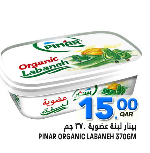 available at قصر الأغذية هايبرماركت in قطر - الخور
