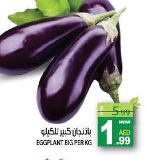 Eggplant available at هاشم هايبرماركت in الإمارات العربية المتحدة , الامارات - الشارقة / عجمان