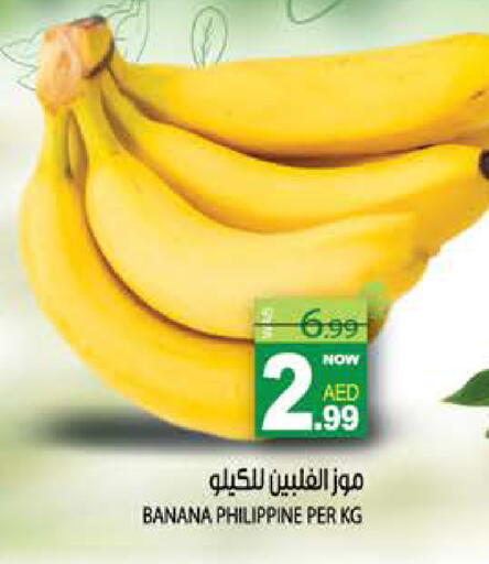 Banana from Philippines available at هاشم هايبرماركت in الإمارات العربية المتحدة , الامارات - الشارقة / عجمان