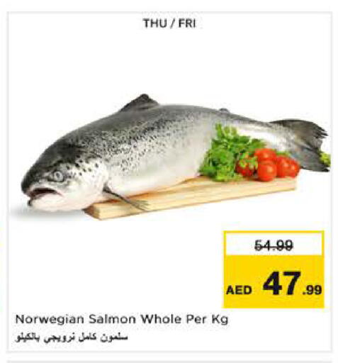 available at نستو هايبرماركت in الإمارات العربية المتحدة , الامارات - ٱلْعَيْن‎