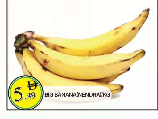 Banana available at المدينة in الإمارات العربية المتحدة , الامارات - الشارقة / عجمان