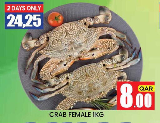 available at نيو ستوب اند شوب @فريج بن عمران in قطر - الدوحة