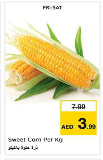 available at Last Chance  in UAE - Fujairah