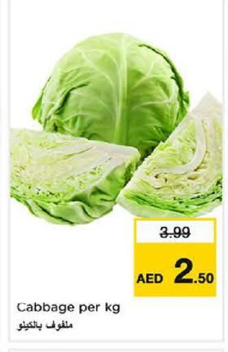 Cabbage available at Last Chance  in UAE - Fujairah
