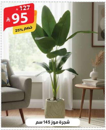 available at الهدايا سنتر in مملكة العربية السعودية, السعودية, سعودية - جدة