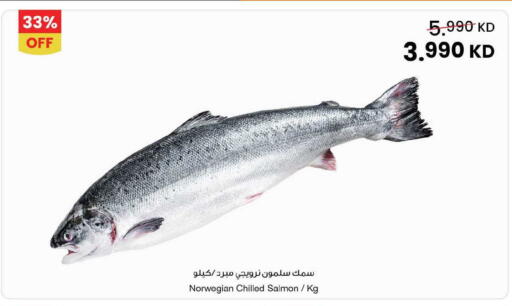 available at مركز سلطان in الكويت - محافظة الأحمدي