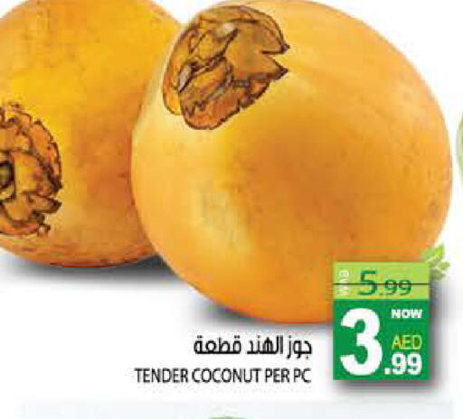 Coconut available at هاشم هايبرماركت in الإمارات العربية المتحدة , الامارات - الشارقة / عجمان