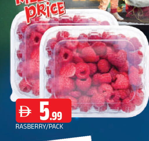 available at المدينة in الإمارات العربية المتحدة , الامارات - الشارقة / عجمان