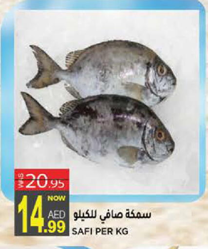 available at هاشم هايبرماركت in الإمارات العربية المتحدة , الامارات - الشارقة / عجمان