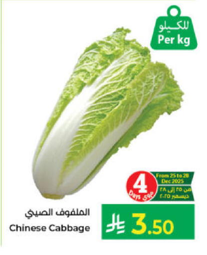 Cabbage from China available at Kabayan Hypermarket in KSA, Saudi Arabia, Saudi - Jeddah