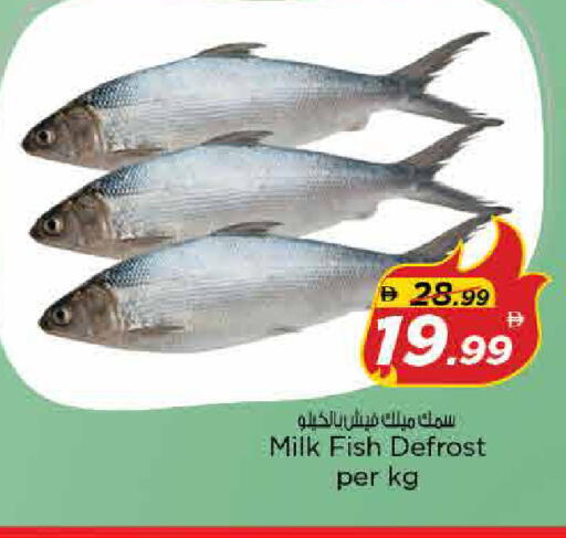 available at نستو هايبرماركت in الإمارات العربية المتحدة , الامارات - الشارقة / عجمان