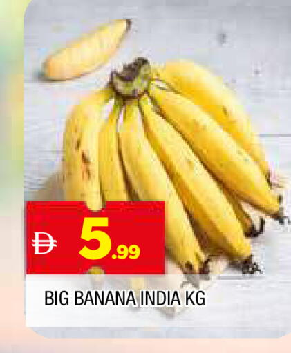 Banana from India available at المدينة in الإمارات العربية المتحدة , الامارات - الشارقة / عجمان