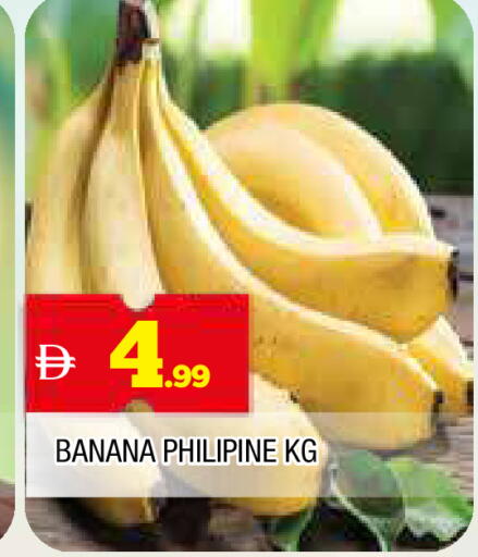 Banana available at المدينة in الإمارات العربية المتحدة , الامارات - الشارقة / عجمان