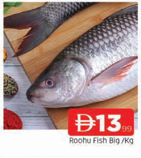 available at AL MADINA in UAE - Sharjah / Ajman