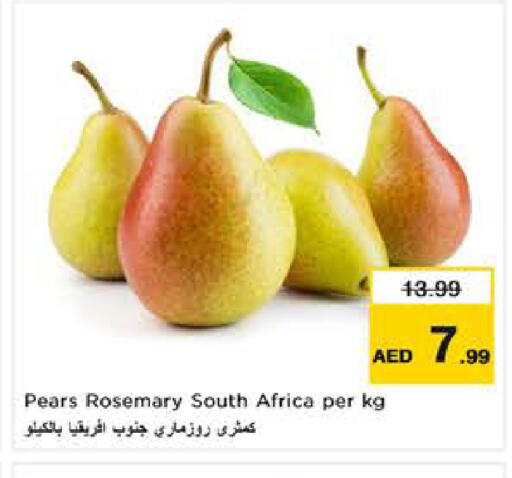 Rosemary from South Africa available at نستو هايبرماركت in الإمارات العربية المتحدة , الامارات - ٱلْعَيْن‎