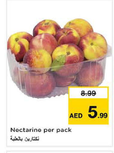 Nectarine available at لاست تشانس in الإمارات العربية المتحدة , الامارات - ٱلْفُجَيْرَة‎