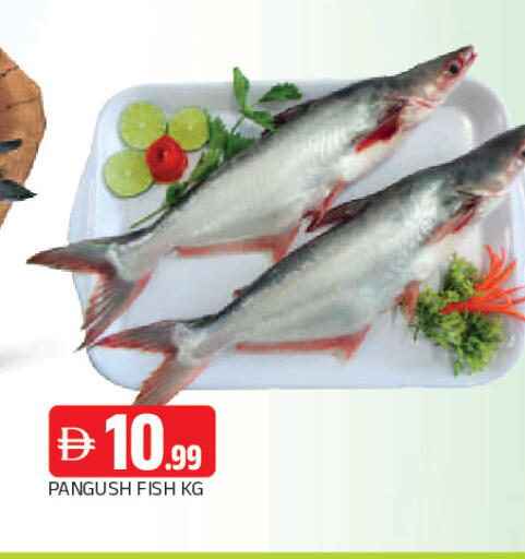 available at AL MADINA in UAE - Sharjah / Ajman