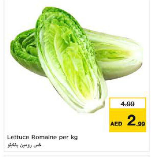 Lettuce available at نستو هايبرماركت in الإمارات العربية المتحدة , الامارات - ٱلْعَيْن‎