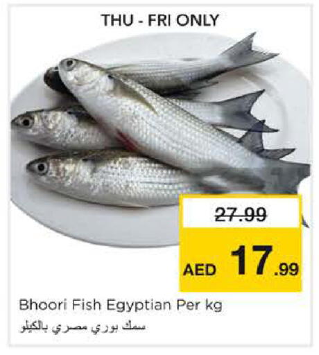 available at نستو هايبرماركت in الإمارات العربية المتحدة , الامارات - الشارقة / عجمان