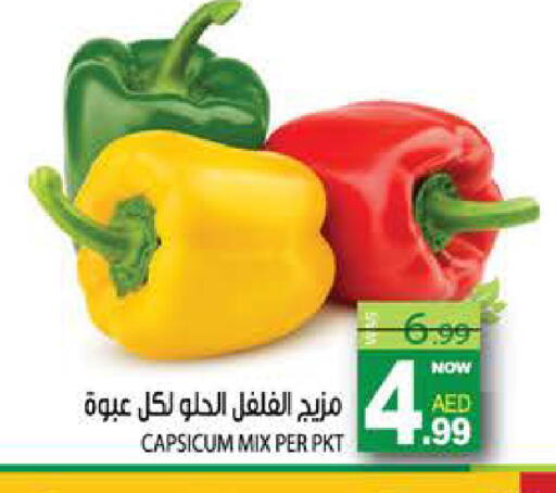 Capsicum available at هاشم هايبرماركت in الإمارات العربية المتحدة , الامارات - الشارقة / عجمان
