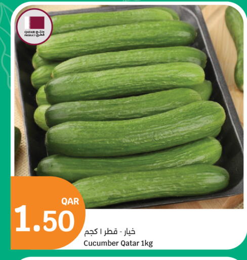 Cucumber available at City Hypermarket in Qatar - Al Shamal