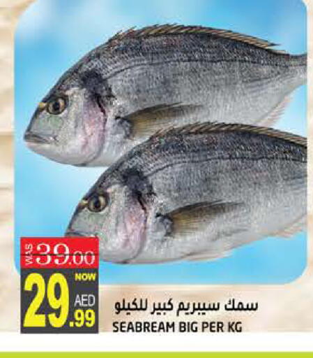 available at هاشم هايبرماركت in الإمارات العربية المتحدة , الامارات - الشارقة / عجمان