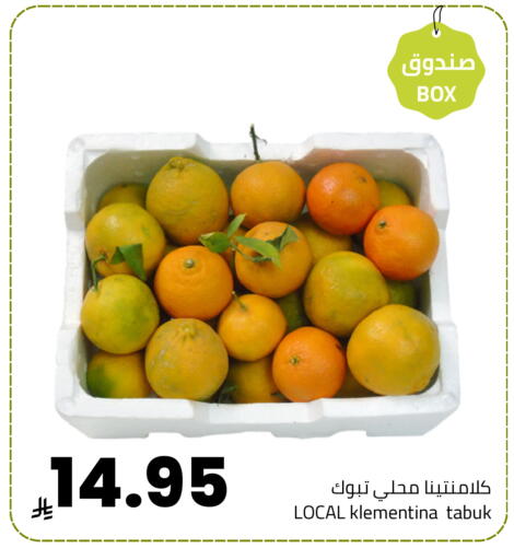 available at Astra Markets in KSA, Saudi Arabia, Saudi - Tabuk