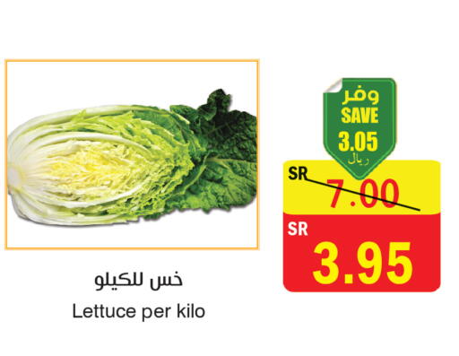 Lettuce available at المركز الأخضر للتسويق in مملكة العربية السعودية, السعودية, سعودية - المنطقة الشرقية