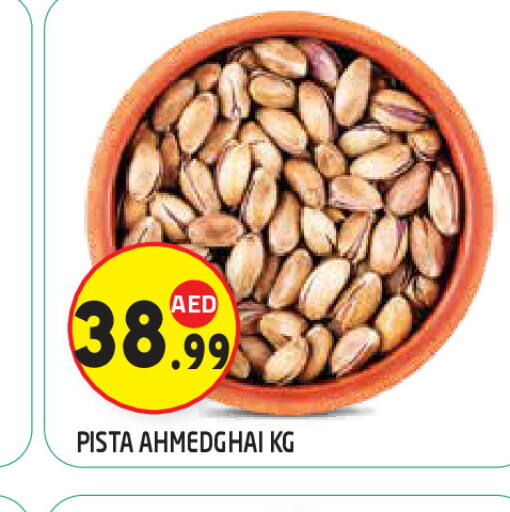 available at سنابل بني ياس in الإمارات العربية المتحدة , الامارات - ٱلْعَيْن‎