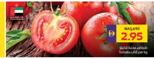 Tomato available at أدكووب in الإمارات العربية المتحدة , الامارات - ٱلْعَيْن‎