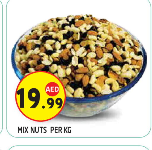 available at سنابل بني ياس in الإمارات العربية المتحدة , الامارات - ٱلْعَيْن‎