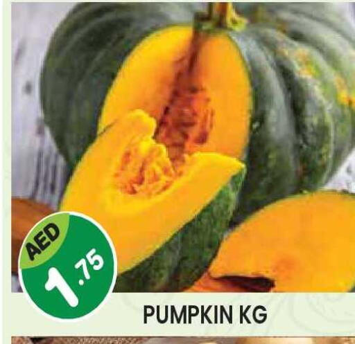 Pumpkin available at سنابل بني ياس in الإمارات العربية المتحدة , الامارات - أبو ظبي