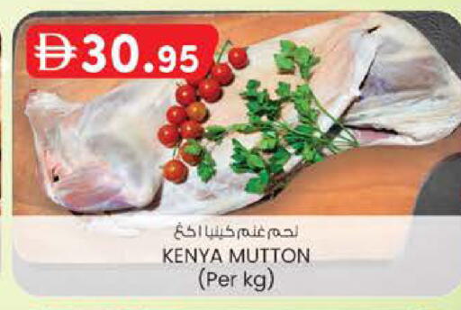 available at ك. الم. للتجارة in الإمارات العربية المتحدة , الامارات - ٱلْفُجَيْرَة‎