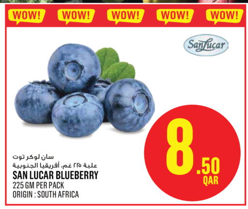 Blueberry BlueBerry from South Africa available at مونوبريكس in قطر - الشمال