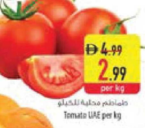Tomato available at السفير ماركت in الإمارات العربية المتحدة , الامارات - أبو ظبي