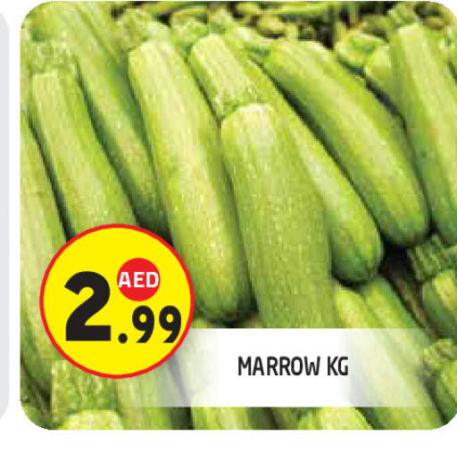 Marrow available at سنابل بني ياس in الإمارات العربية المتحدة , الامارات - ٱلْعَيْن‎