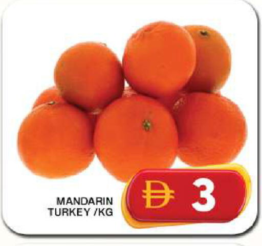 Mandarin from Turkey available at جراند هايبر ماركت in الإمارات العربية المتحدة , الامارات - دبي