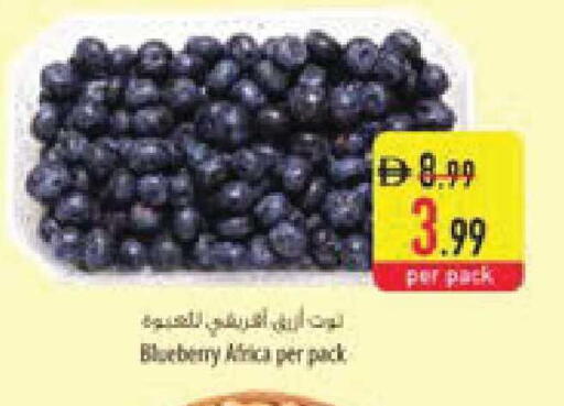 Blueberry BlueBerry available at Safeer Market in UAE - Umm al Quwain