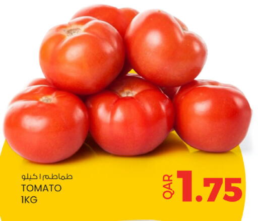 Tomato available at Ansar Gallery in Qatar - Al-Shahaniya