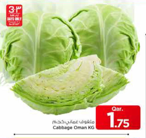Cabbage from Oman available at مارك & سيف in قطر - الخور